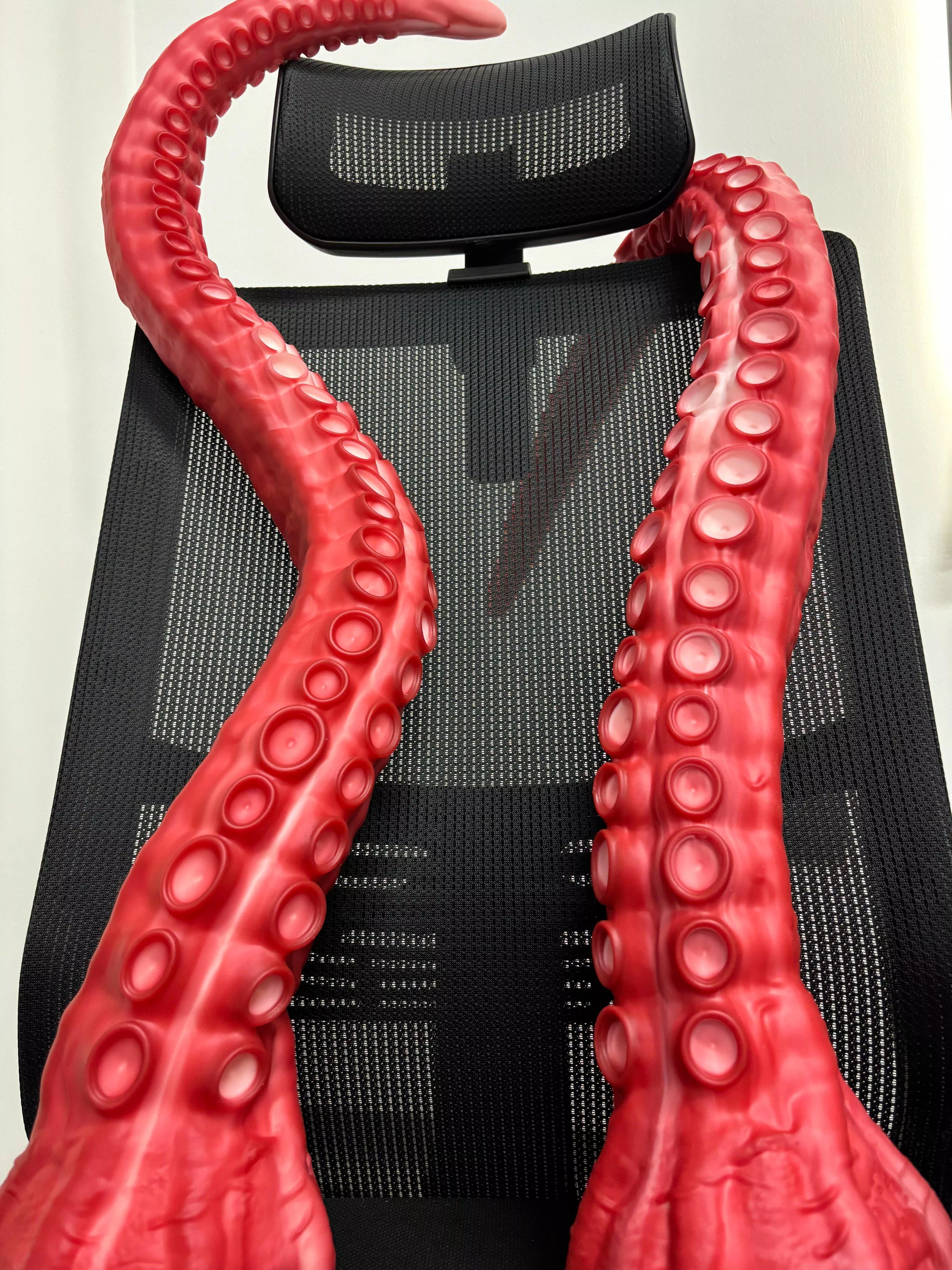 ALLA has super long tentacles Is one of the monsters in the Nothosaur mainland! 