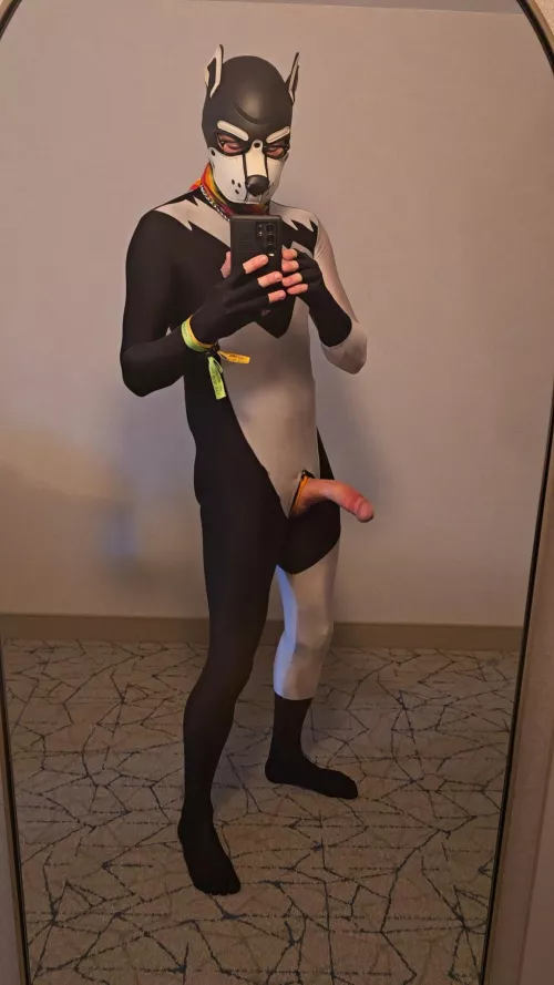 Anybody have holes that need filling?