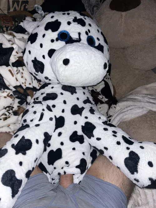 Anyone else fuck cows 