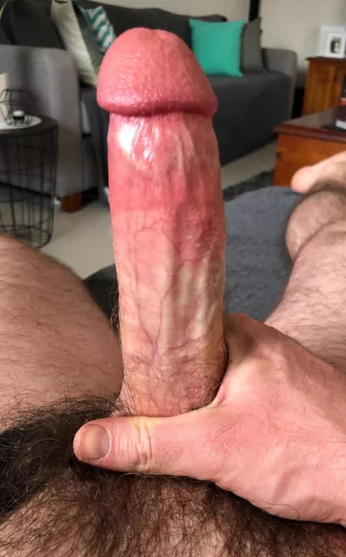 Anyone want to look after this for daddy? 35m