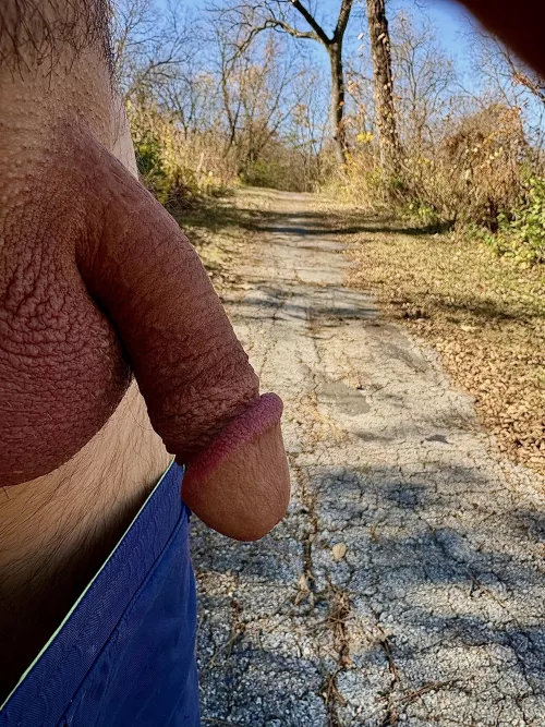 Beautiful day on the trail in Glenwood 