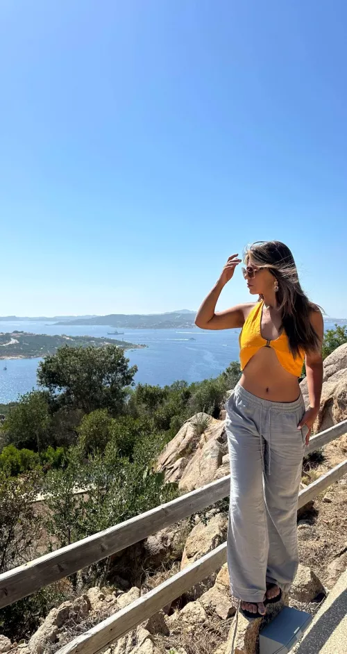 Beautiful shine in the sun