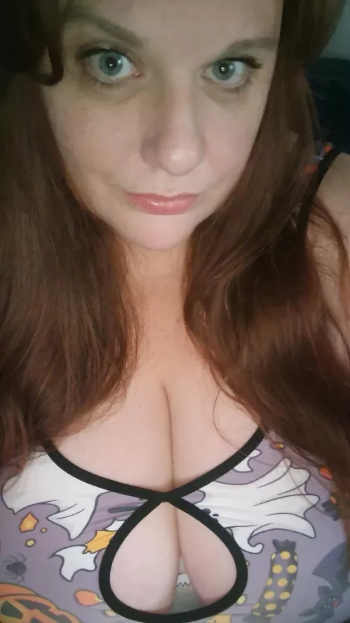 Big round pumpkins 🎃 🎃