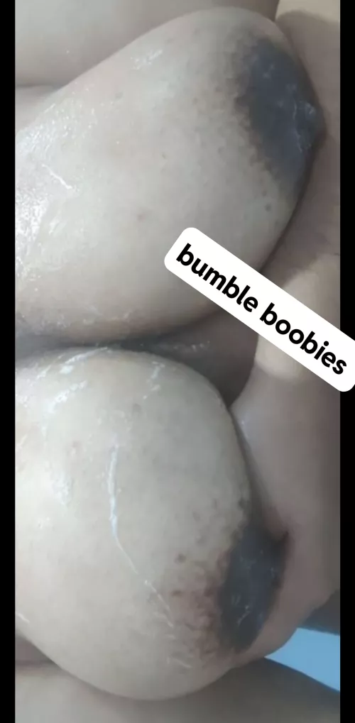 Bumble boobies