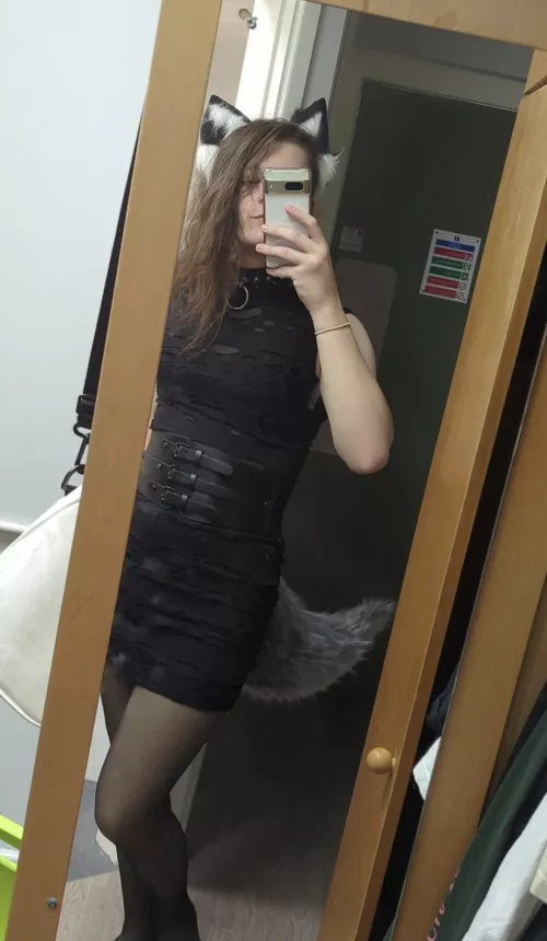 can someone tell am good dog :(