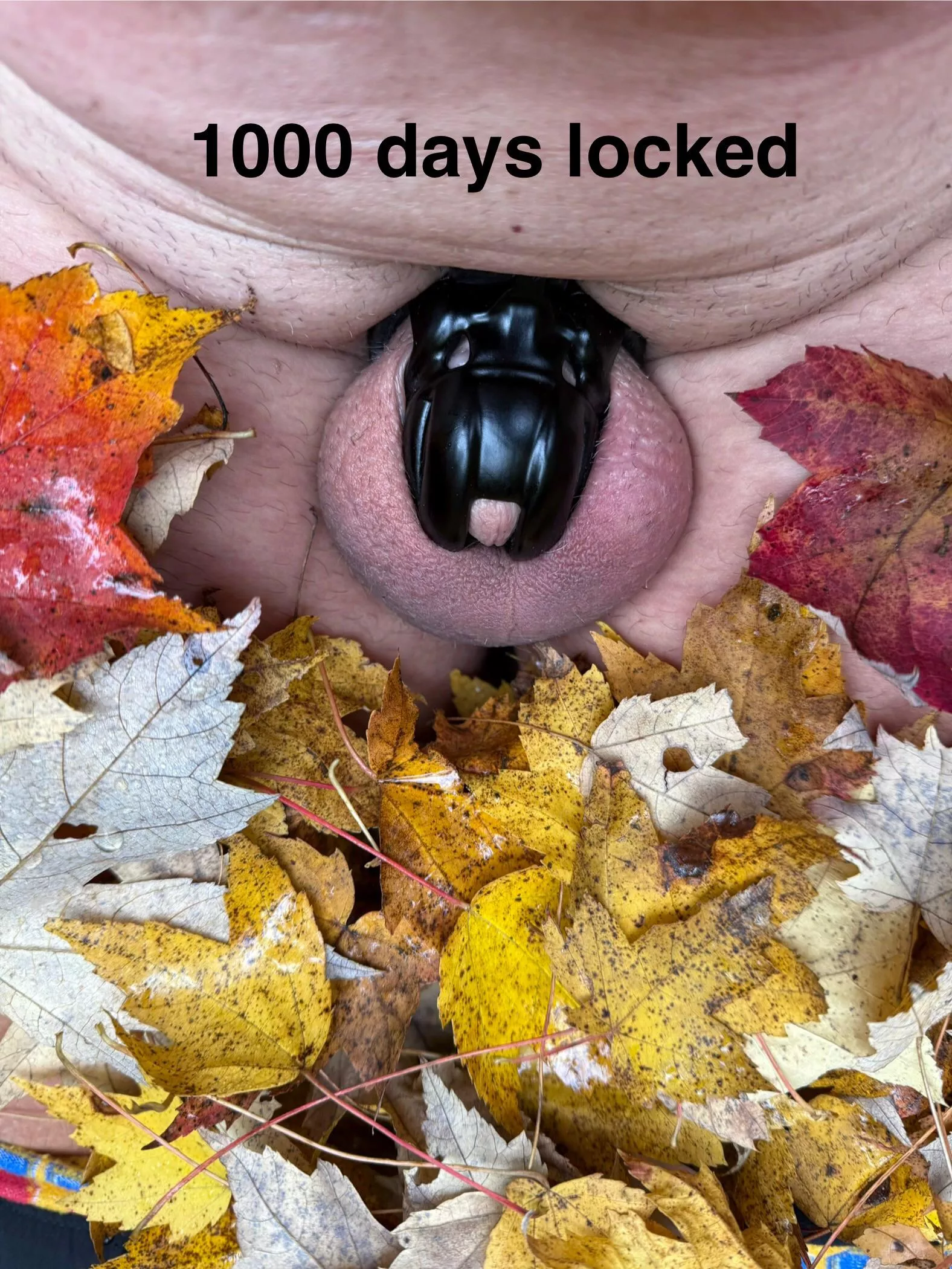Celebrating 1,000 days locked in kink3D cages!  
