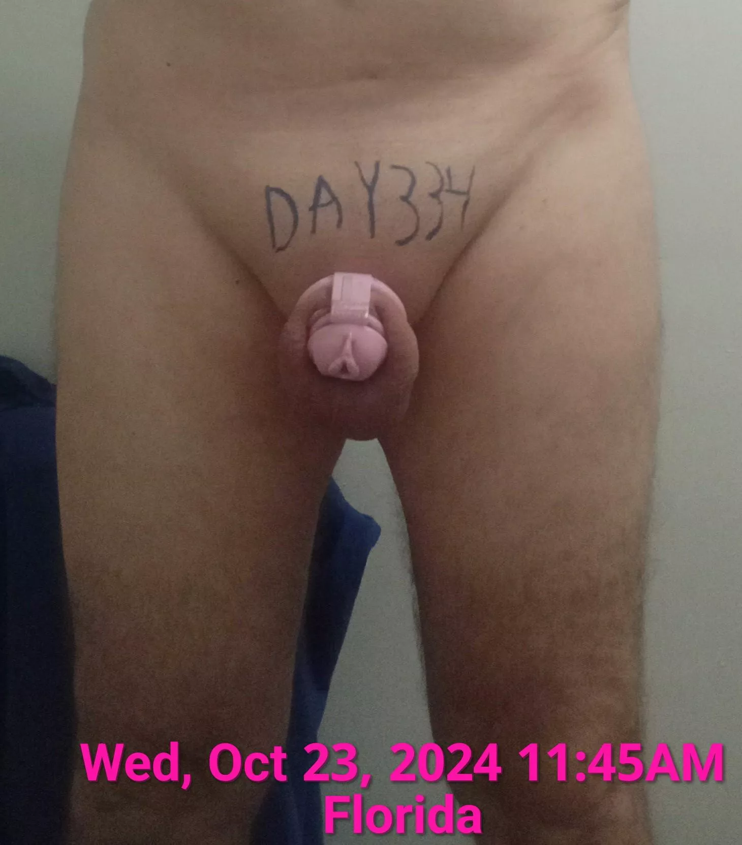 Day 334 chastity 