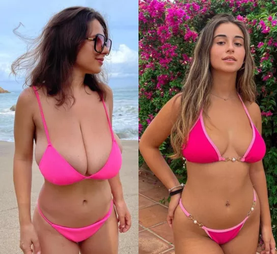 Do you prefer the girl in the heavily filled bikini or the other and why ?