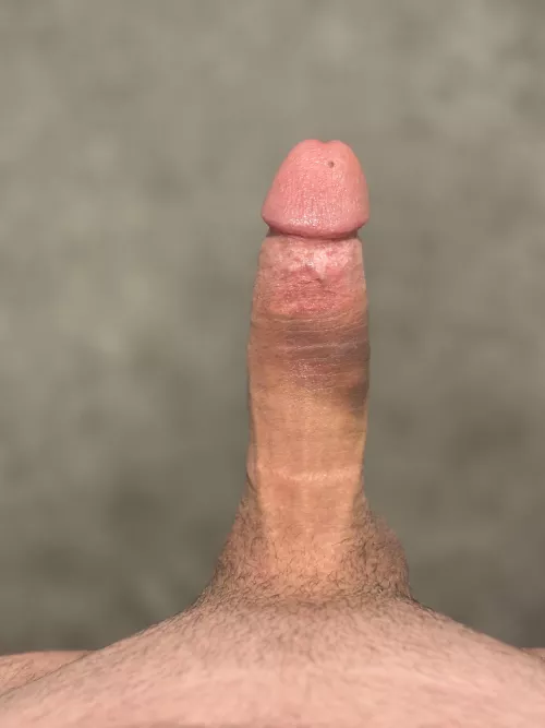 Enchantment of the Seas Oct. 26- Nov. 4 [M4F] [M4FM]