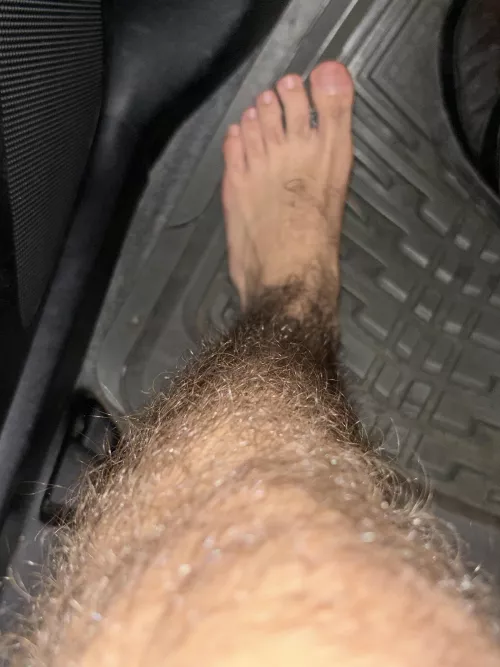 furry legs lead to a pot of gold (feet)