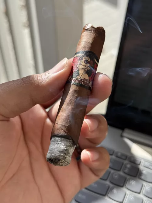 Had my first flavoured cigar…. Didn’t hate it! and I’m looking for more “short and sweet” smoke suggestions for the winter months, like this “leather rose” petite corona. Open to any suggestions for something similar that doesn’t break th