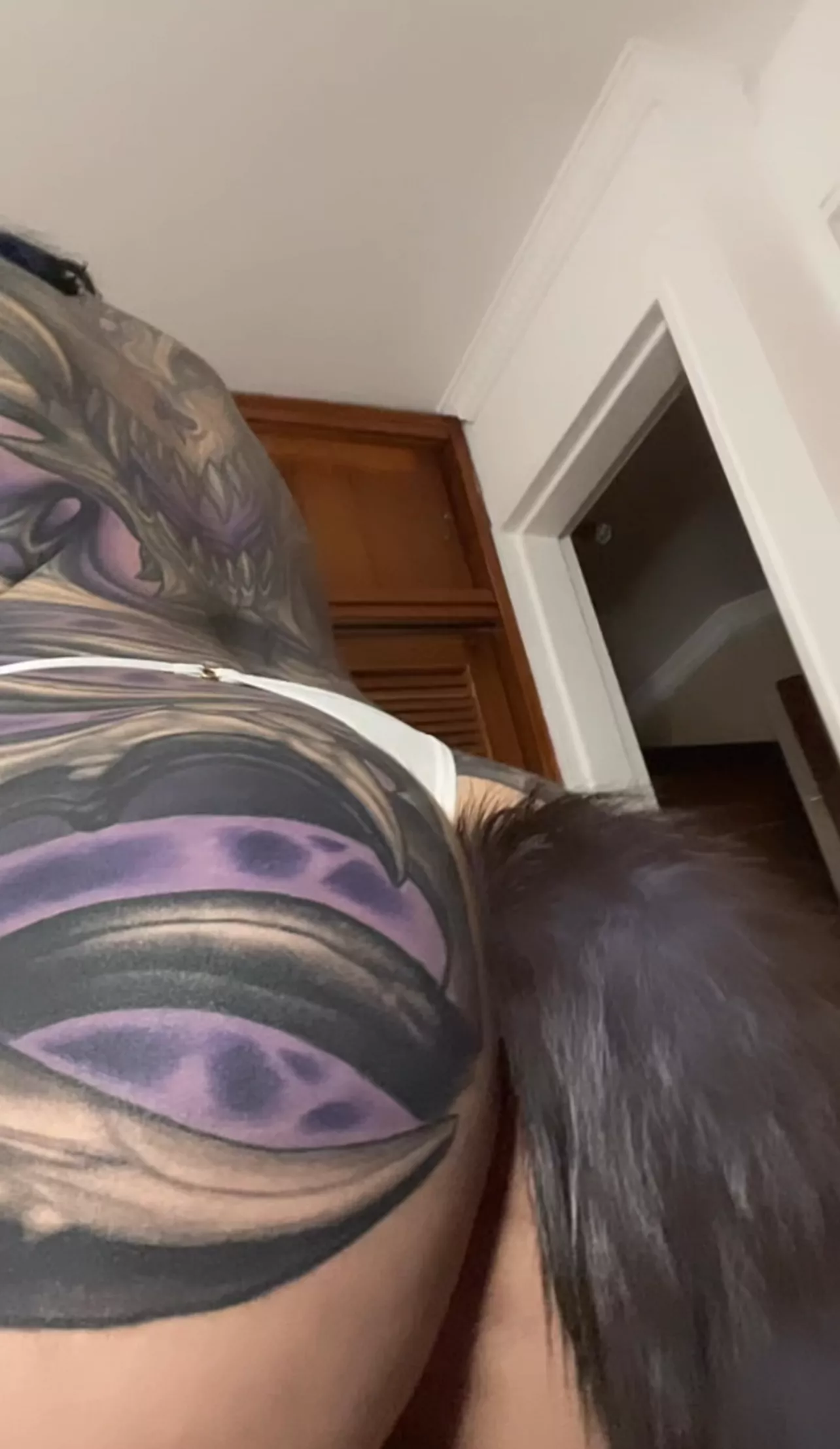 Have you ever seen a tattooed puppy