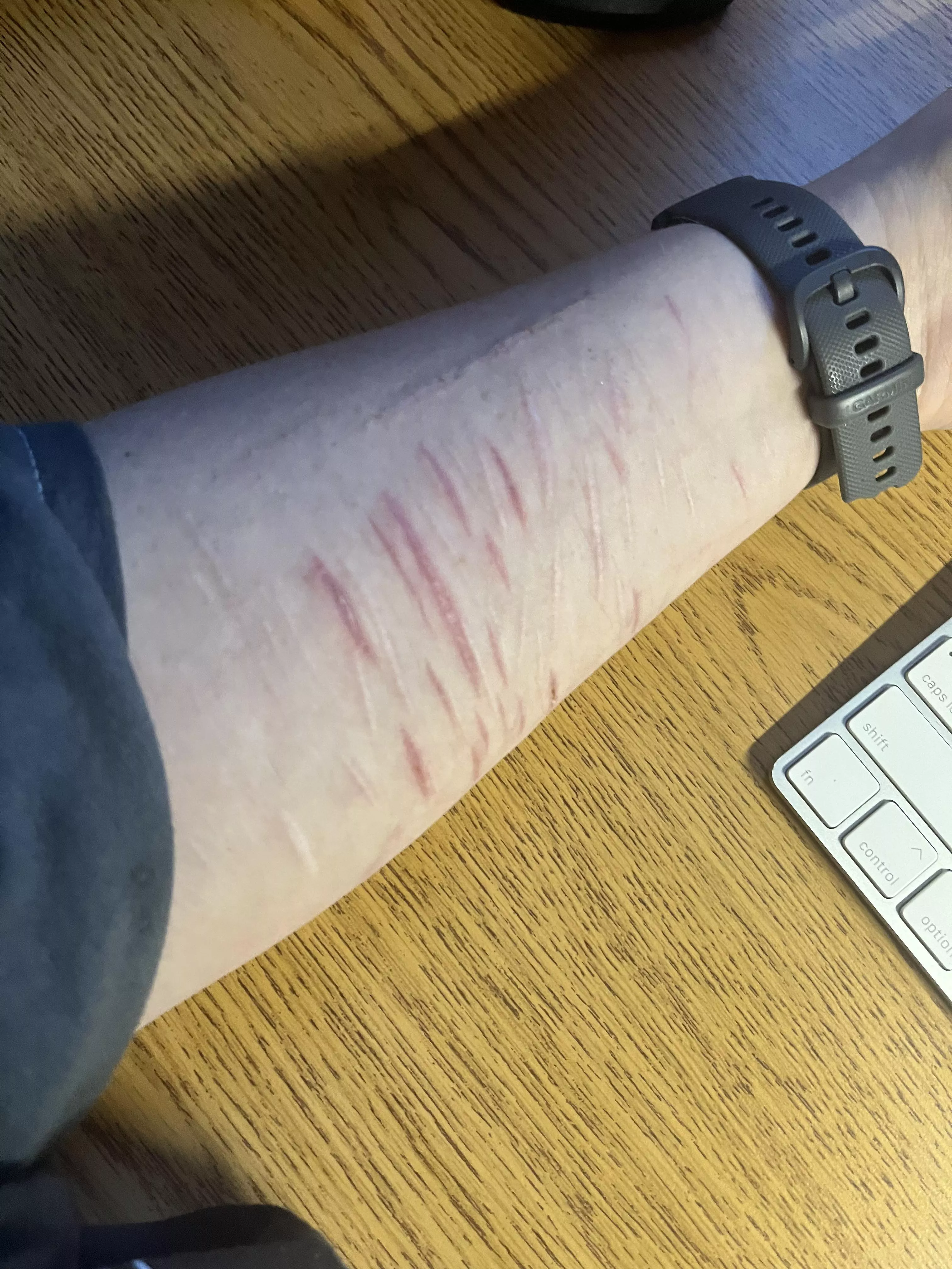 Haven’t had any new posts- (Read) 