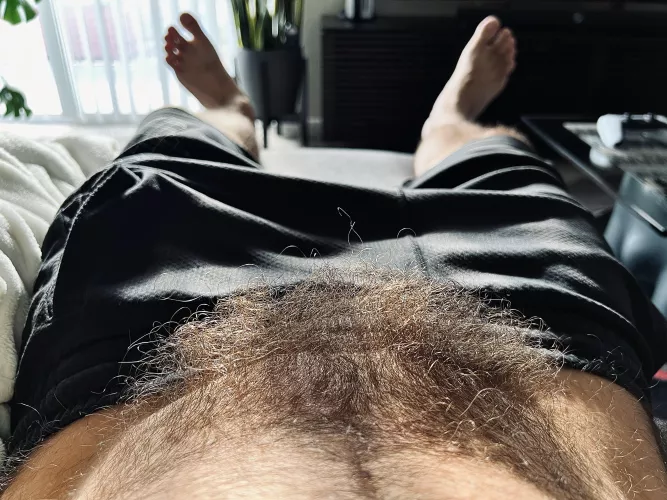 How do you like my hairy forest?