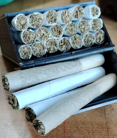 How long would theses 23 dude last you?