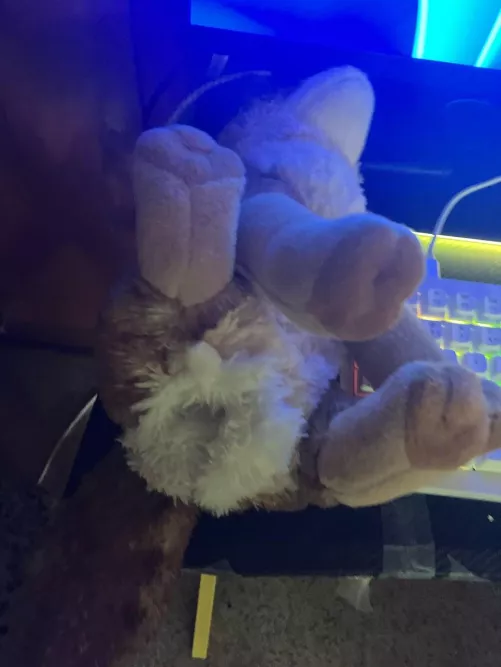 I modded one of my plushies 
