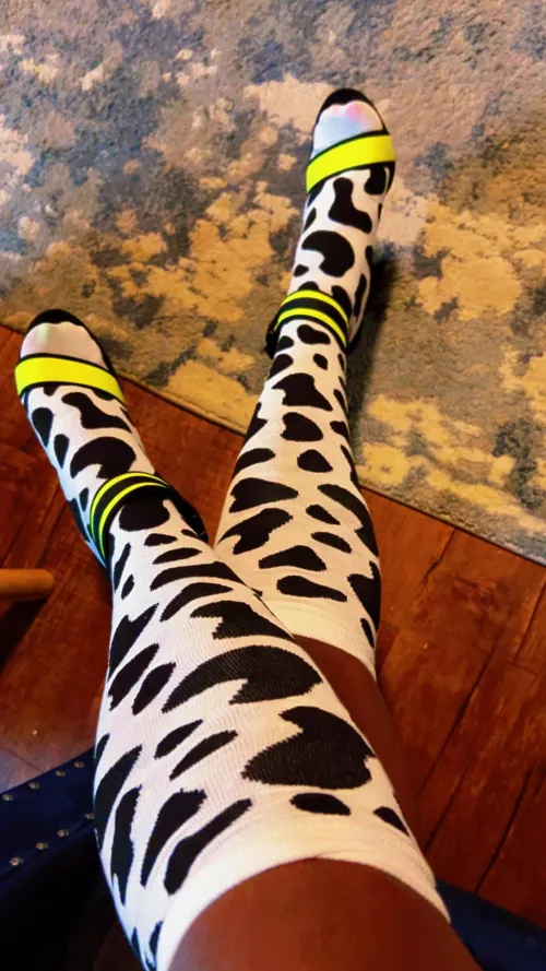 I’m loving my cow socks  heels 
