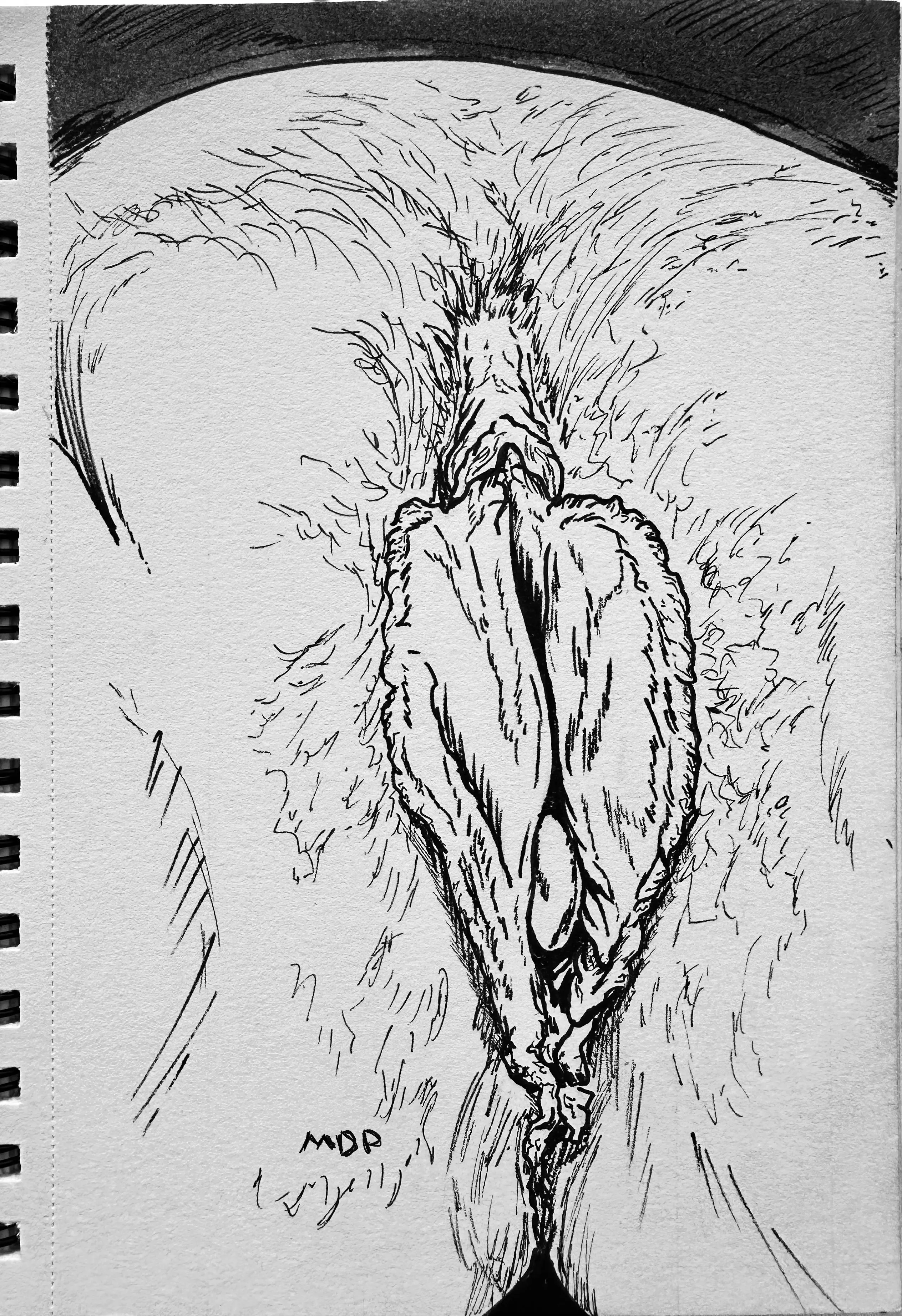 Intimate anatomy study #9 by me