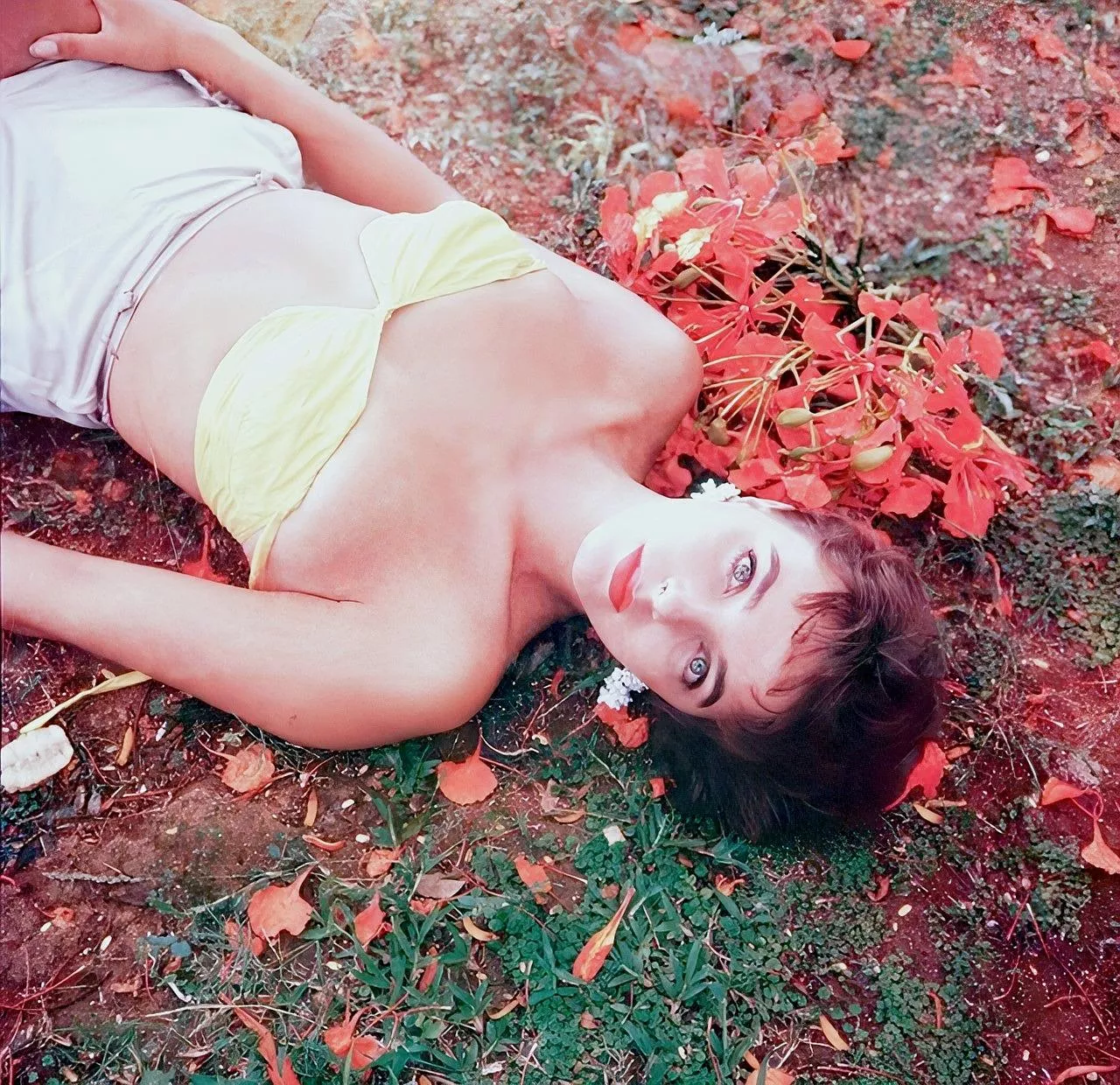 Joan Collins (1950s)