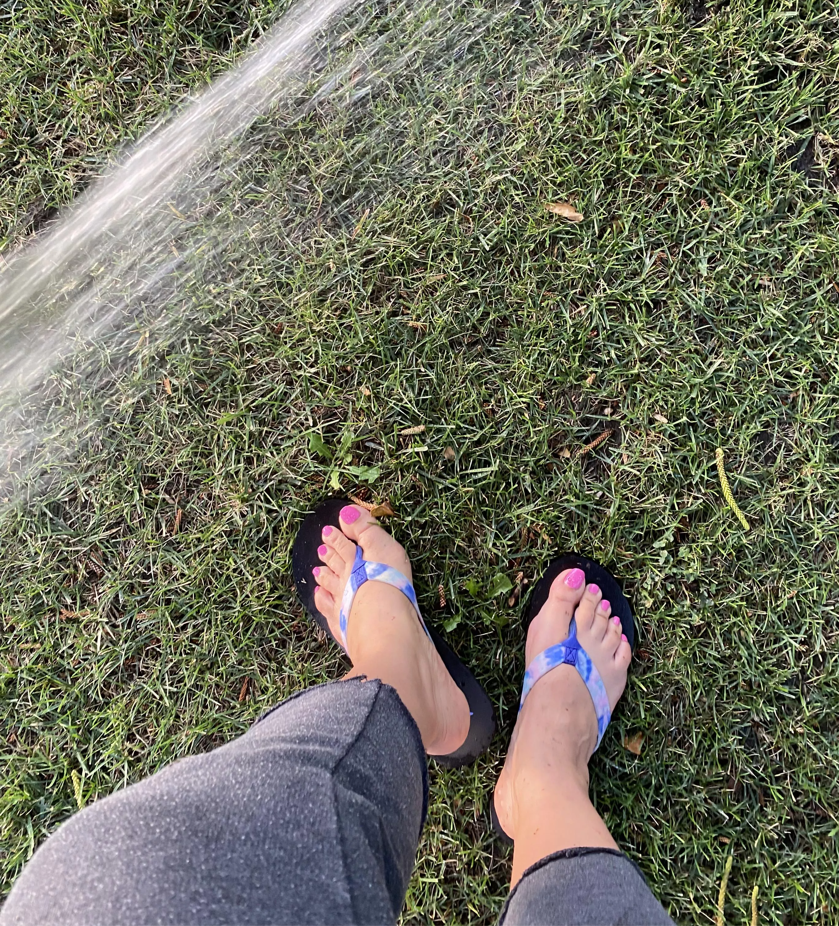 just giving the grass some H2O