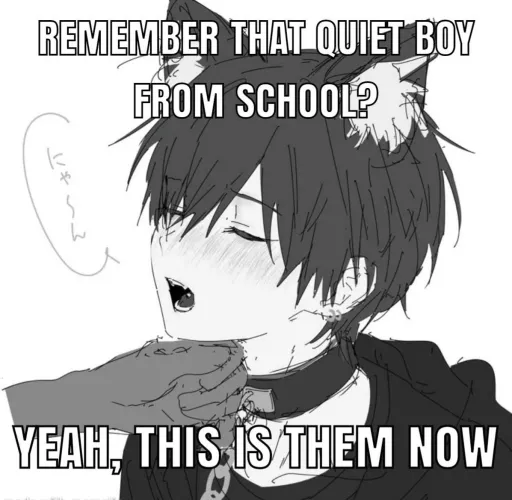 kitty don’t know if he should eep or not 