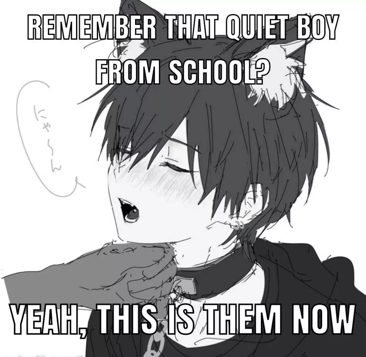 kitty don’t know if he should eep or not 