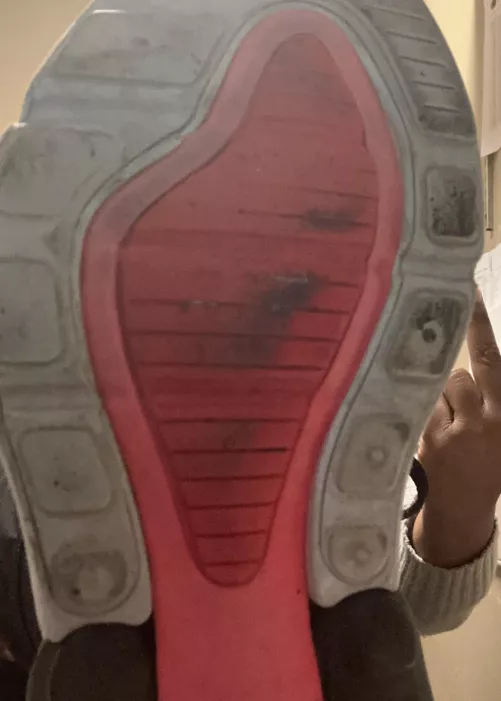 Lick them clean muts