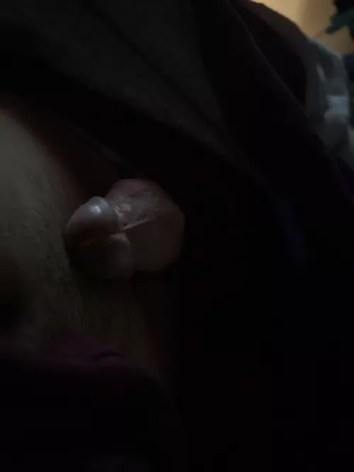 m19 looking for f or trans female