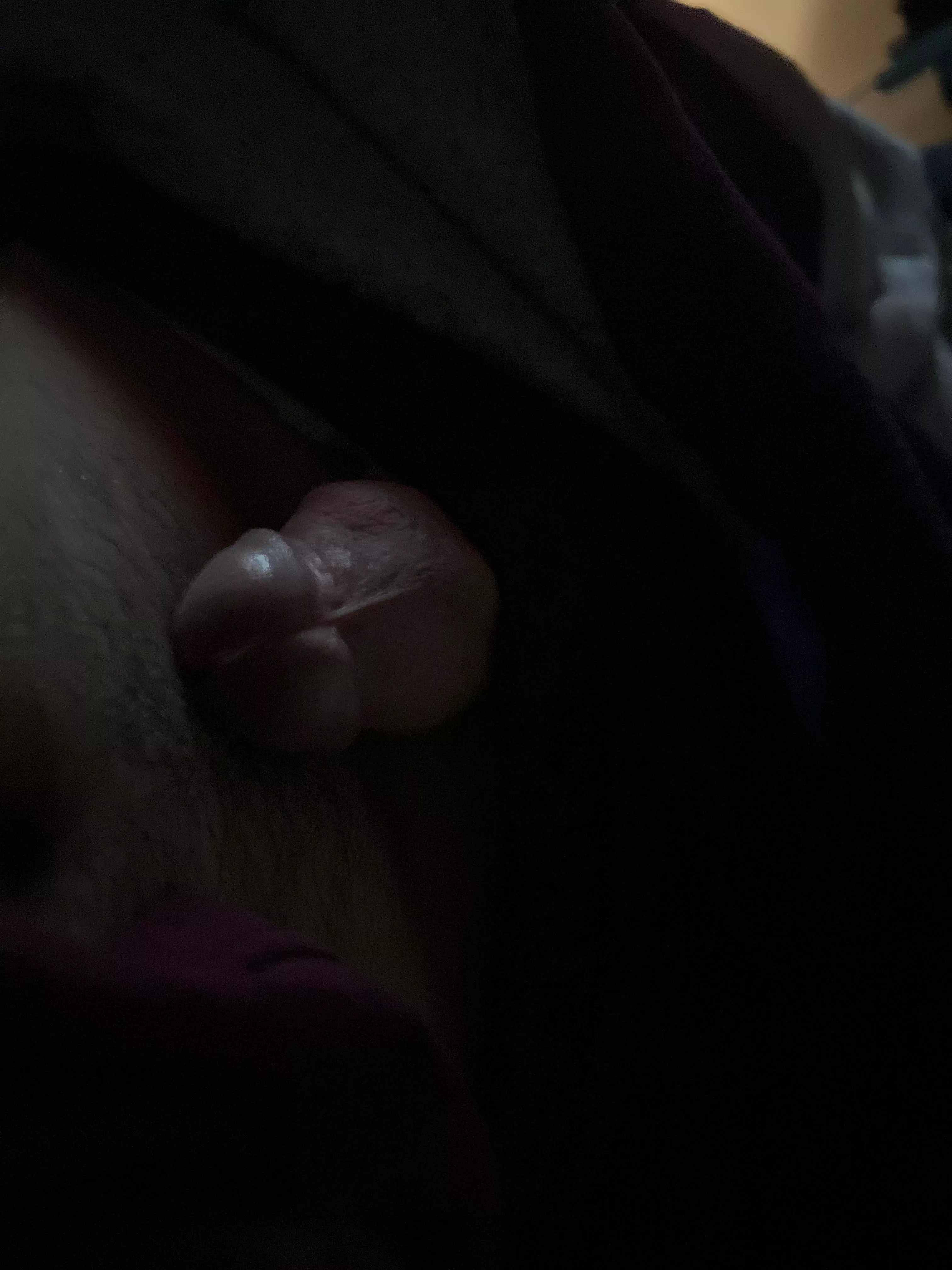 m19 looking for f or trans female