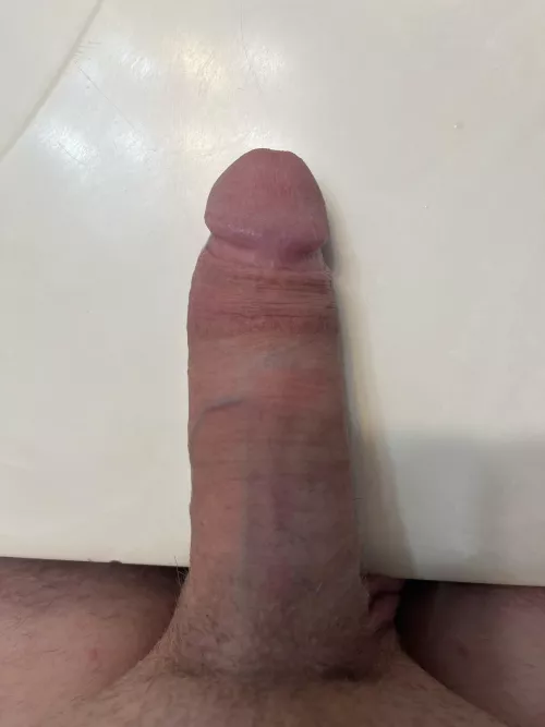 M4F/MF
