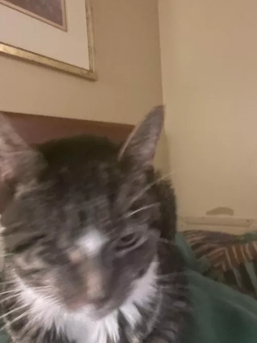 M4M looking to bottom. Dm me