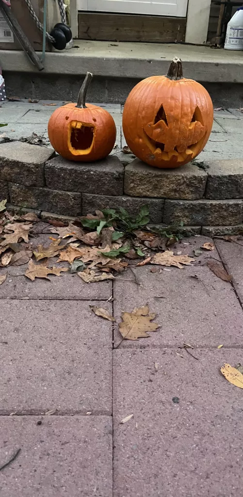 Master and Ouppy made pumpkins!! Ouppy’s is on the left :3