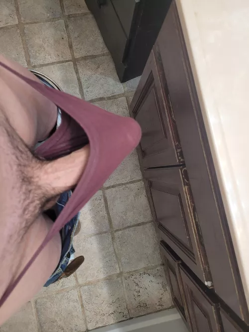 My bikini brief tent. [45]