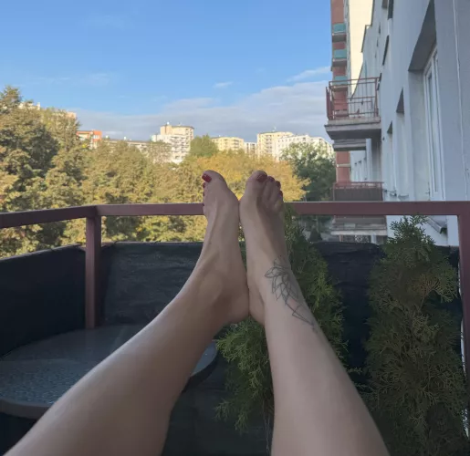 My feet were made to be in your mouth