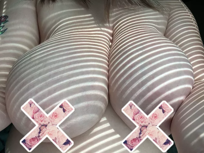 New huge titty drop for you —> plz cum see 🥺