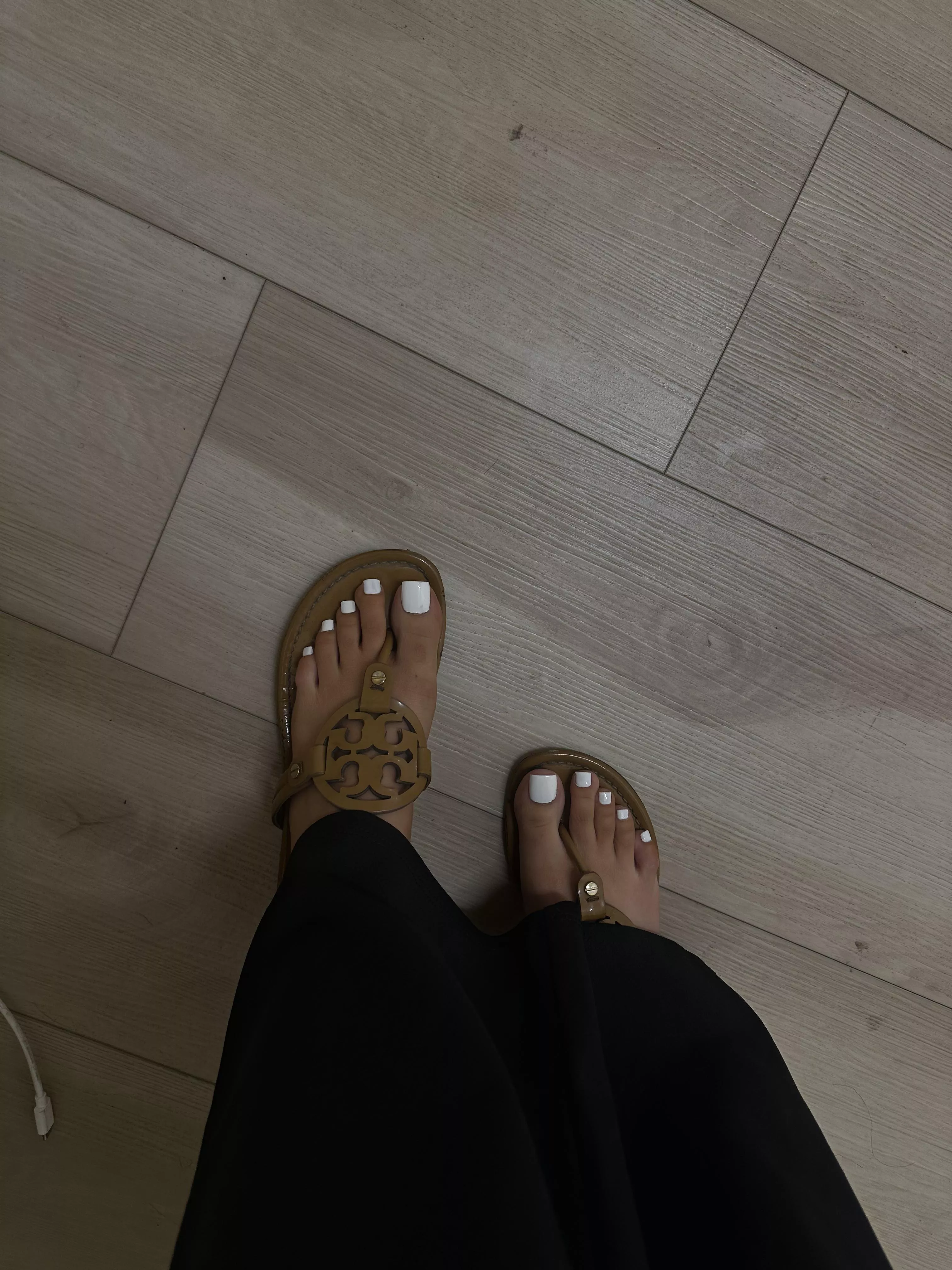 Nobody wears torys better than me! Do you agree?