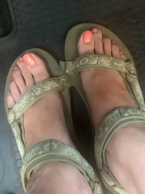 Not the prettiest but sure are comfy 