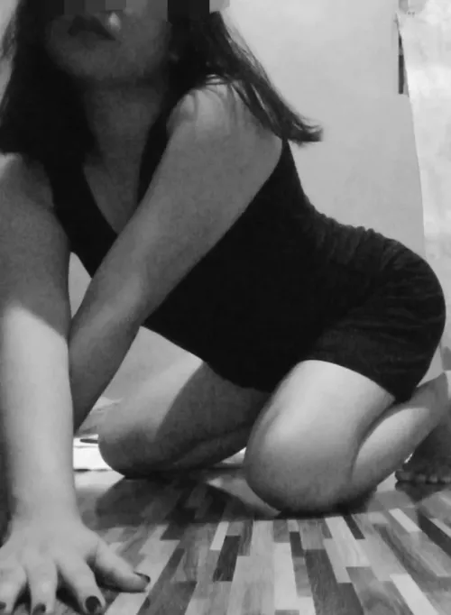 [online]Where are the whale SD? I badly need one. I verify