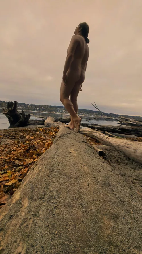 PNW has entered its overcast era once more