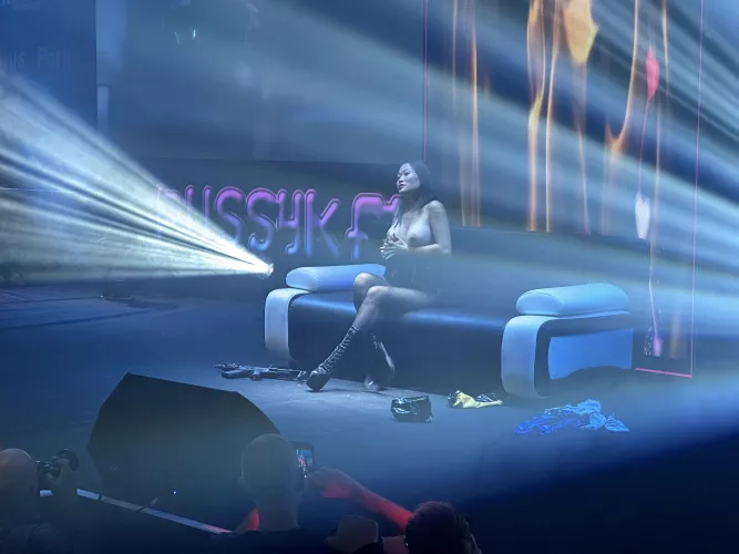 Pussycat at venus 2024