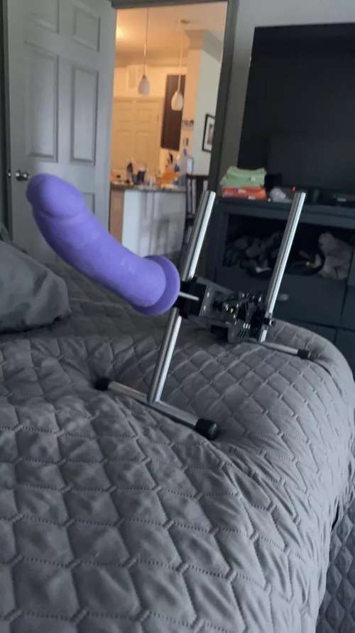 Still looking for a young lady to ride fuck machine.  Any takers??? Going once…