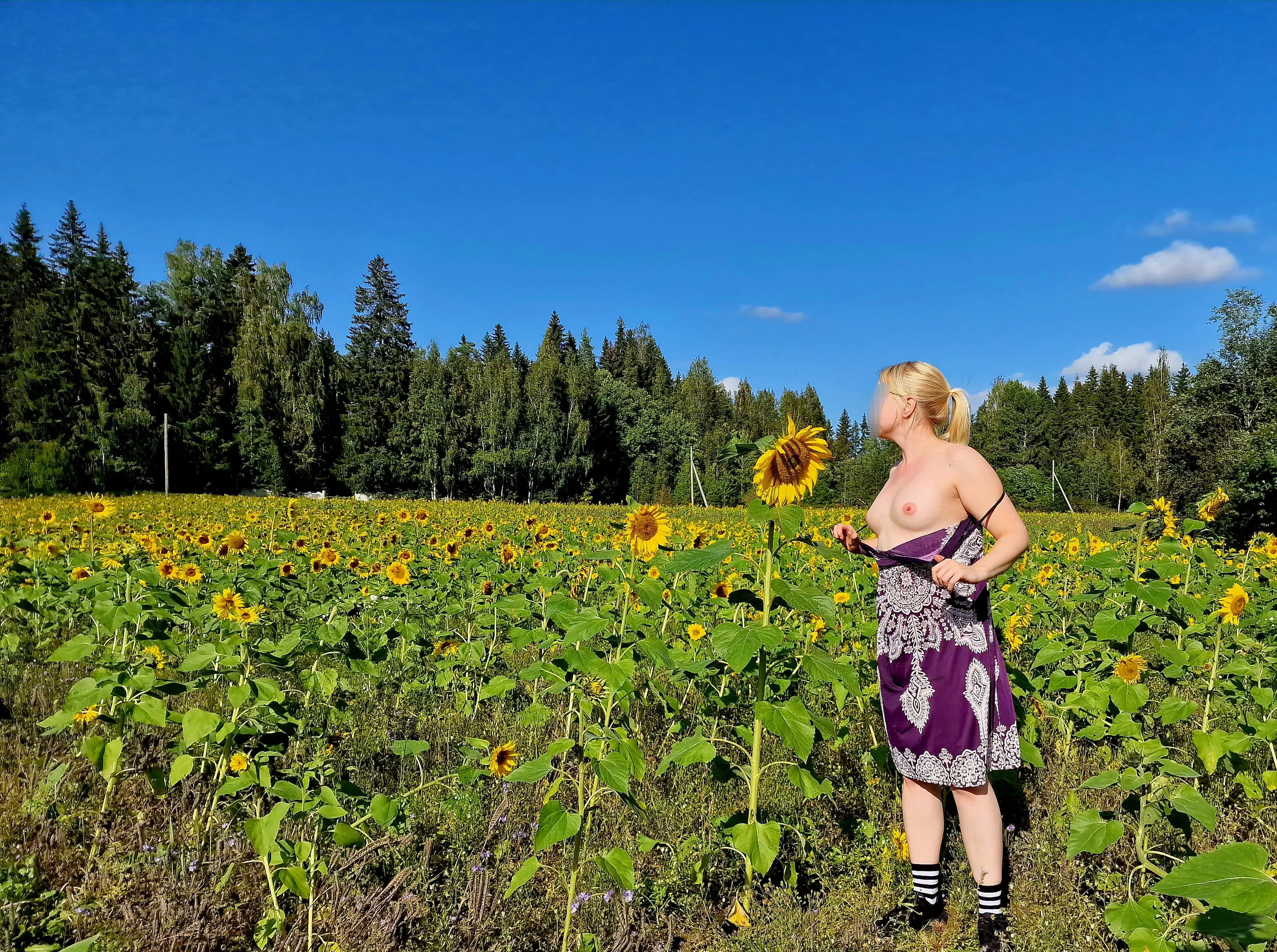 Sun flowers and boobs 🌻
