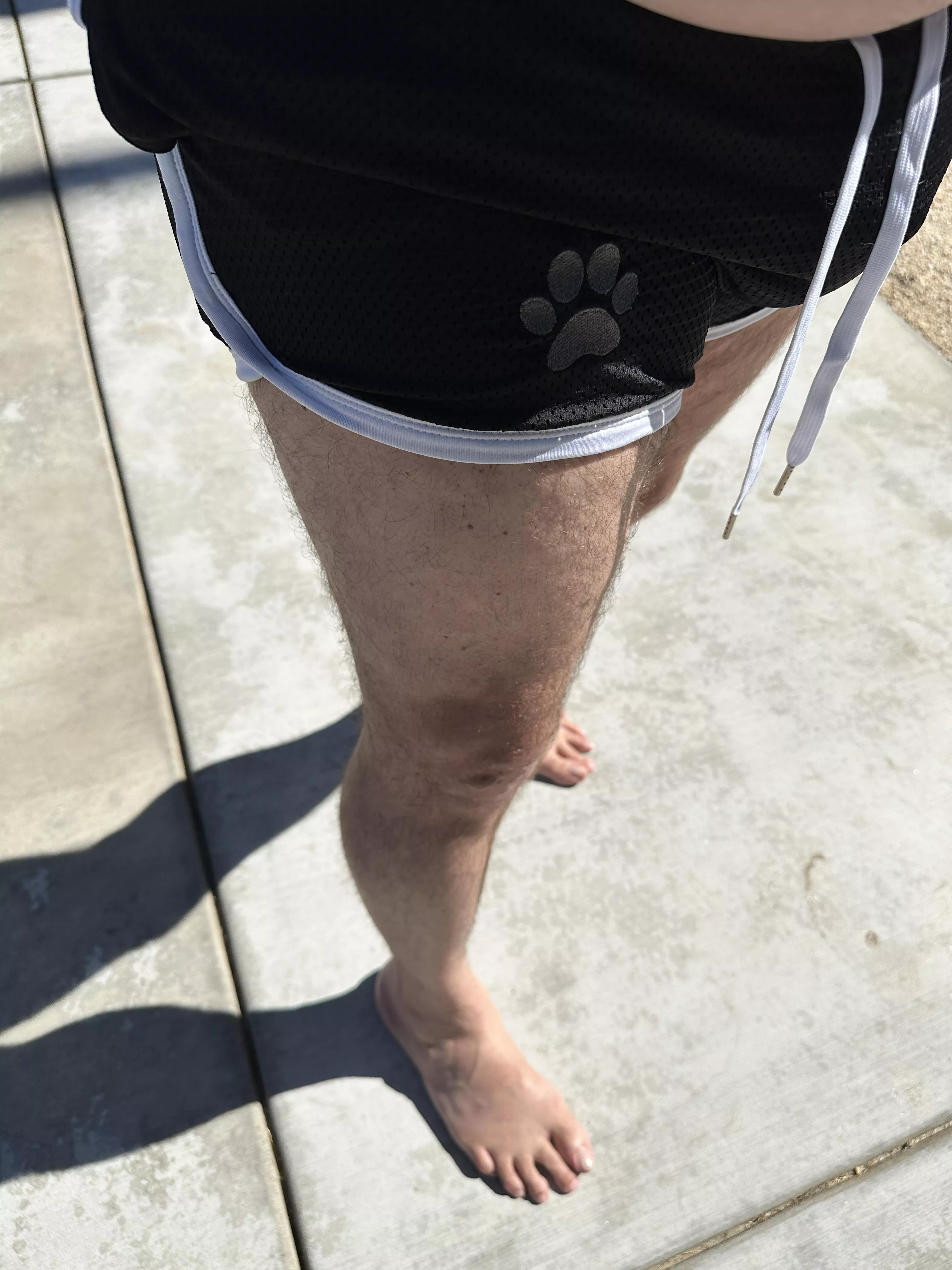 Sun is out.  Comment yes if I should drop the shorts…