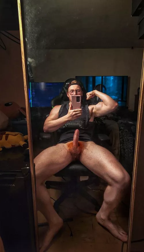 Tell me , what do you think of ginger bush?