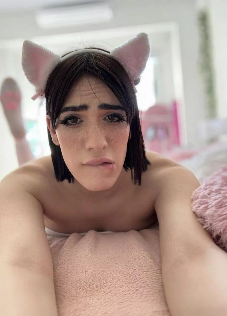 Wanna kiss or sniff my paw? 🐾