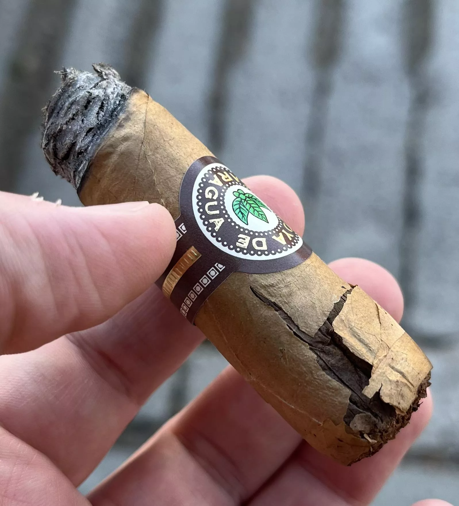 What can be the cause?