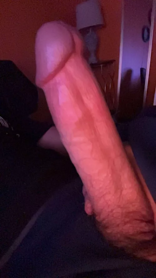 What would you do to it?