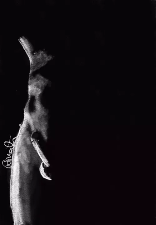 Where the light touches 