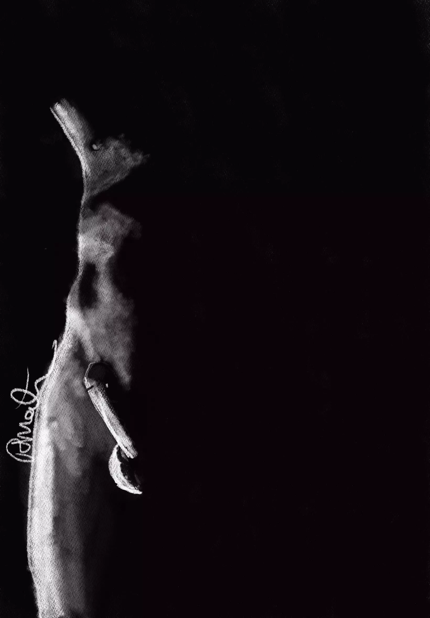 Where the light touches 