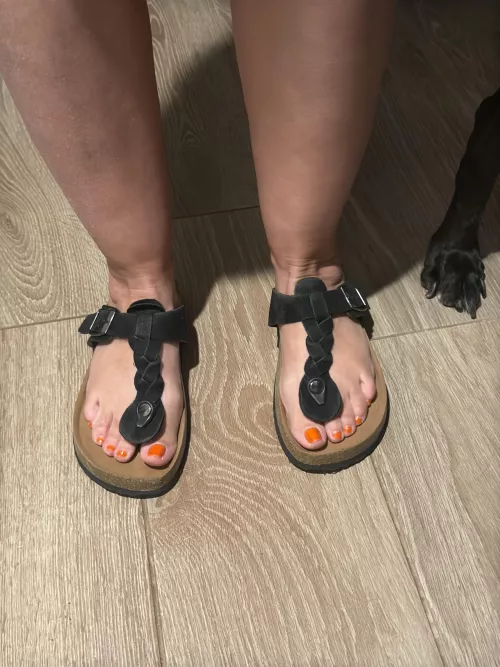 Wife Getting Ready to Walk The Dog
